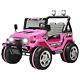12v Kids Powered Ride On Cars Electric Battery Wheel Remote Control Usb Pink