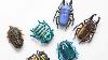 6pk Assorted Insect Battery Powered Toys Bugs On The Run