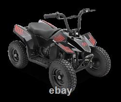 Kids Ride On Quad ATV 4 Wheeler Car Battery 12V Electric Aux In 250W 8mph 120 lb