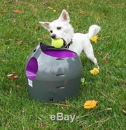 PetSafe Automatic Tennis Ball Launcher Dog Fetch Toy PTY00-14665 2 Tennis Balls