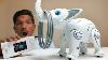 Rc Programmable Robotic Ai Elephant Unboxing U0026 Testing Chatpat Toy Tv