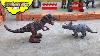 Triceratops Vs Trex Dinosaur Fight Tournament Skyheart S Battle Event Dinosaur Toys For Kids